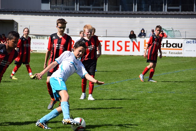 扮演了团队 扮演了团队