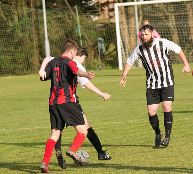 的战略布局 的战略布局