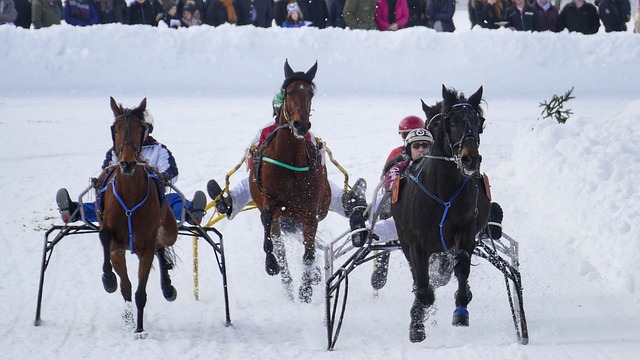 國際邁阿密 國際邁阿密